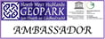 AMBASS LOGO